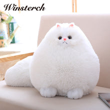 Fun Plush Fluffy Cats Persian Cat Toys Pembroke Pillow Soft Stuffed Animal Peluches Dolls Baby Kids Toys Gifts Brinquedos WW108
kids