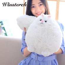 Fun Plush Fluffy Cats Persian Cat Toys Pembroke Pillow Soft Stuffed Animal Peluches Dolls Baby Kids Toys Gifts Brinquedos WW108
kids
