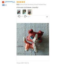 LPS Brown White Collie Dog #1542 Blue Eyes Puppy Pet Shop Kids Toys
kids