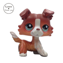 LPS Brown White Collie Dog #1542 Blue Eyes Puppy Pet Shop Kids Toys
kids