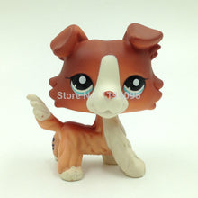 LPS Brown White Collie Dog #1542 Blue Eyes Puppy Pet Shop Kids Toys
kids