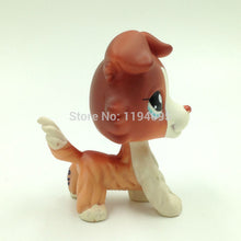 LPS Brown White Collie Dog #1542 Blue Eyes Puppy Pet Shop Kids Toys
kids