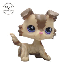 LPS Brown White Collie Dog #1542 Blue Eyes Puppy Pet Shop Kids Toys
kids